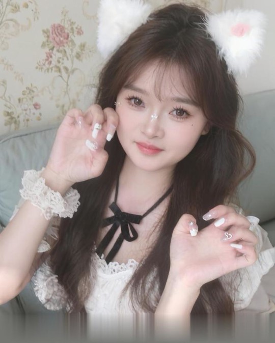 惠州惠阳淡水妃子